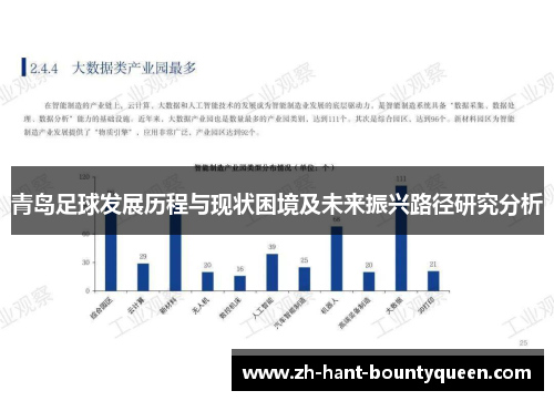 青岛足球发展历程与现状困境及未来振兴路径研究分析 青岛足球发展历程与现状困境及未来振兴路径研究分析